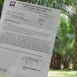 PTPN XIV Kembali Mengancam Lahan Pertanian Milik Masyarakat di Kecamatan Burau Kabupaten Luwu Timur